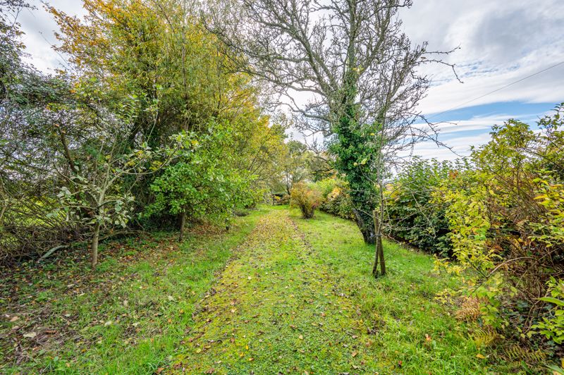 Garden- click for photo gallery